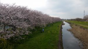 20160330_154559-02